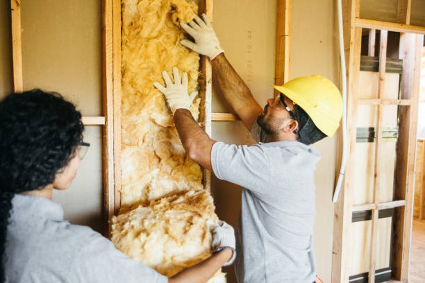 Eco-Friendly or Green Insulation Solutions in Liberty, UT